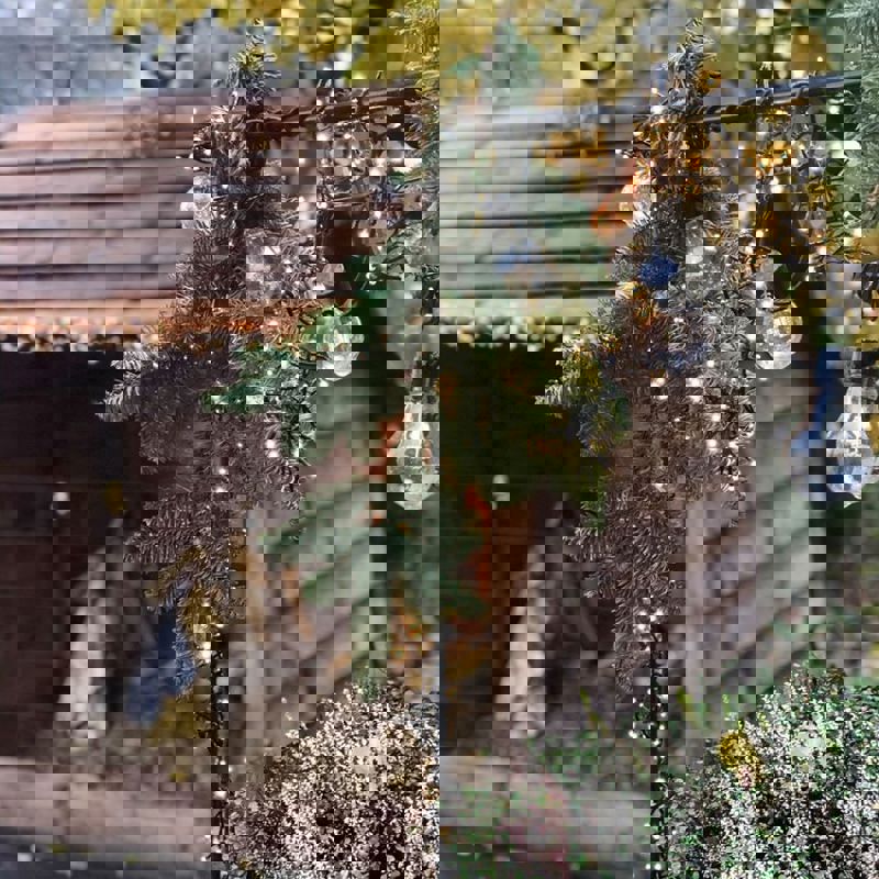 dennentakken en verlichting voor kerststalletje