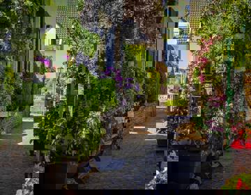 De Batsteeg met kleurrijke bloemen in Eijsden