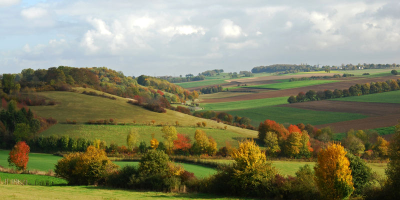Heuvellandschap Zuid-Limburg in de herfst