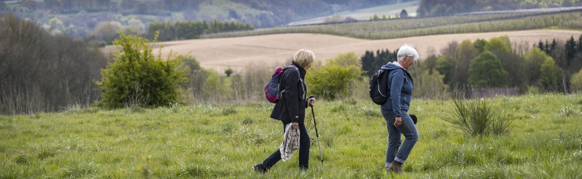 Twee wandelaars lopen door een wei met uitzicht over het Heuvellandschap