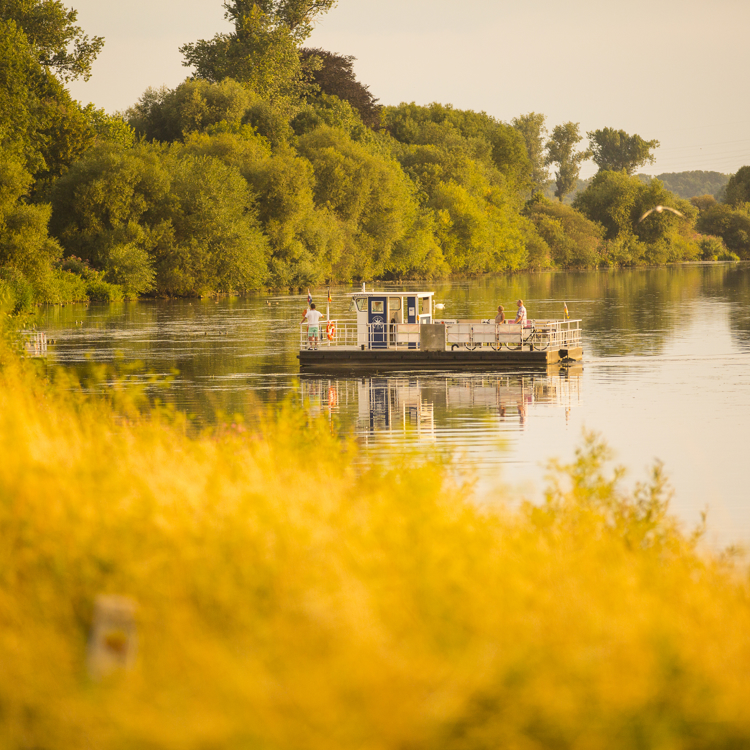 Foto met oranje gloed op de voorgrond, de veerpond op het water en groene bomen op de achtergrond. 