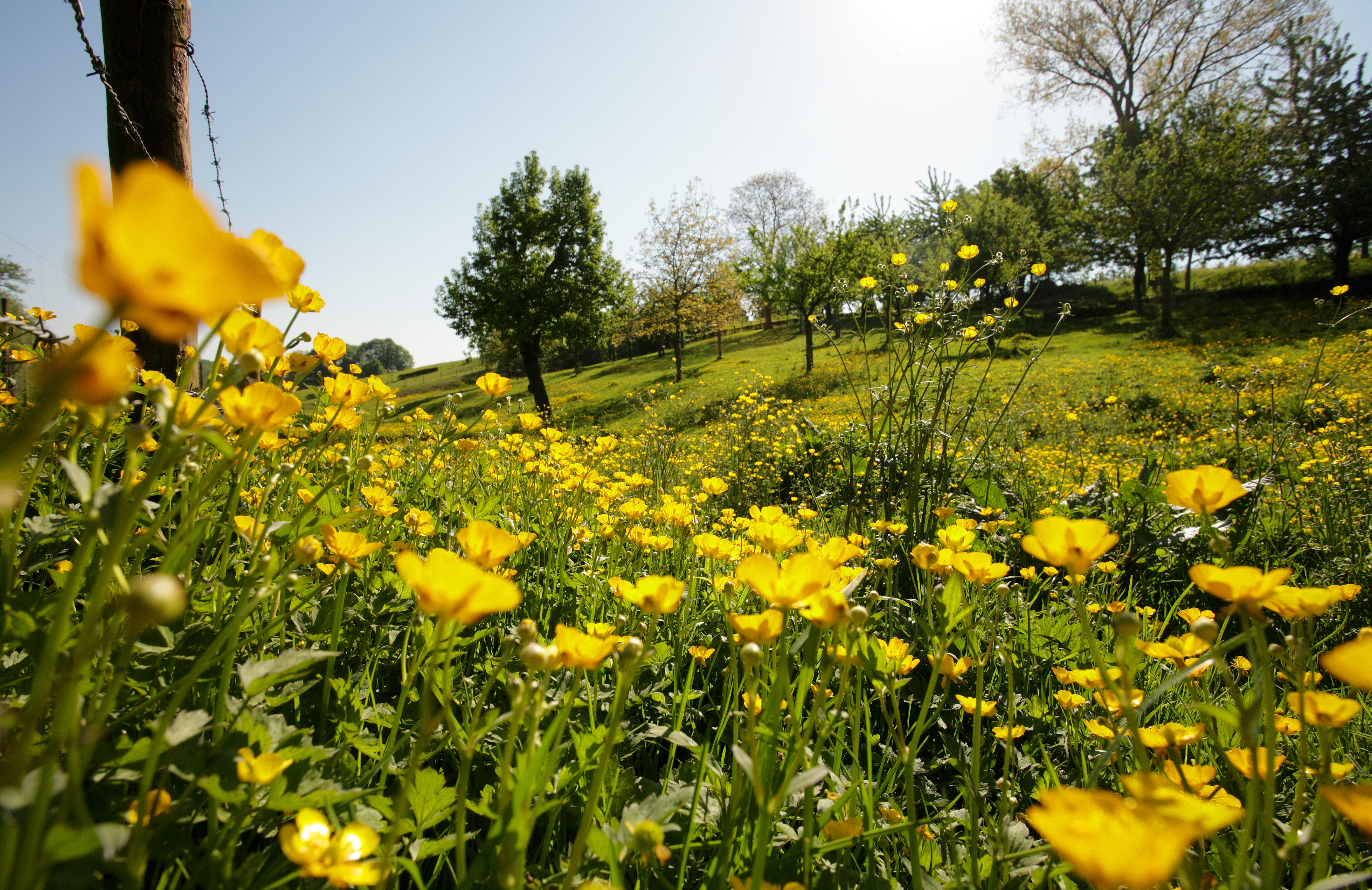 Natuurboerderij De Hofkamer