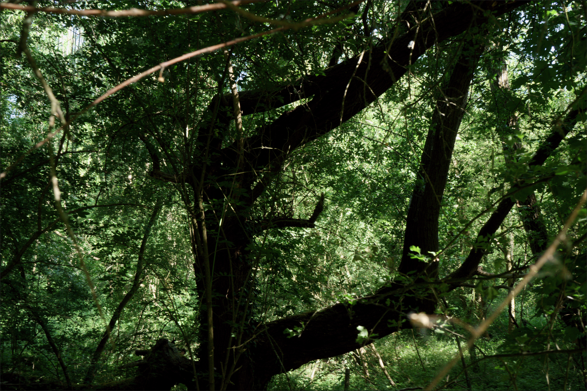 Boekpresentatie en Tentoonstelling