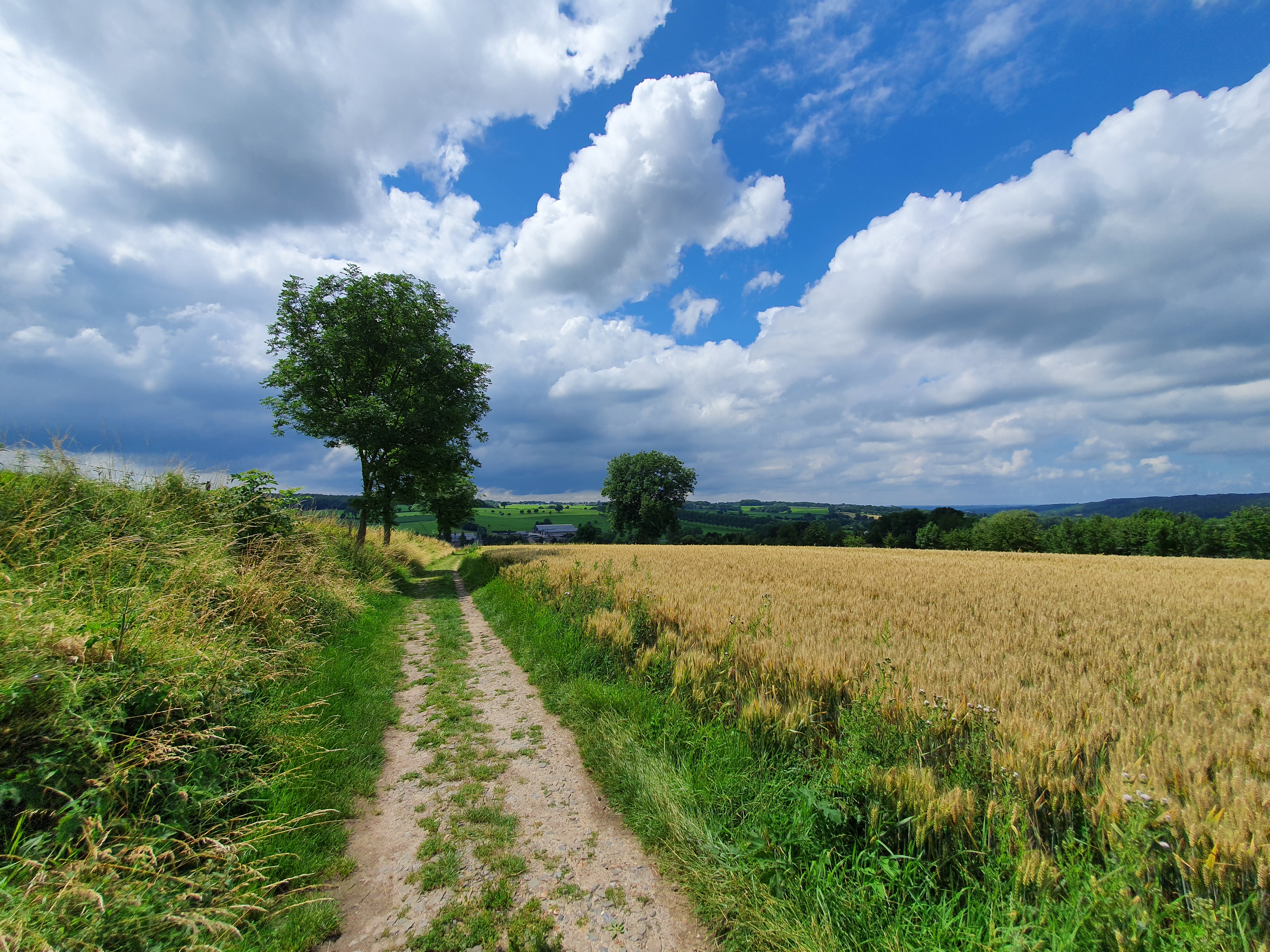 Camping Natuurlijk Limburg