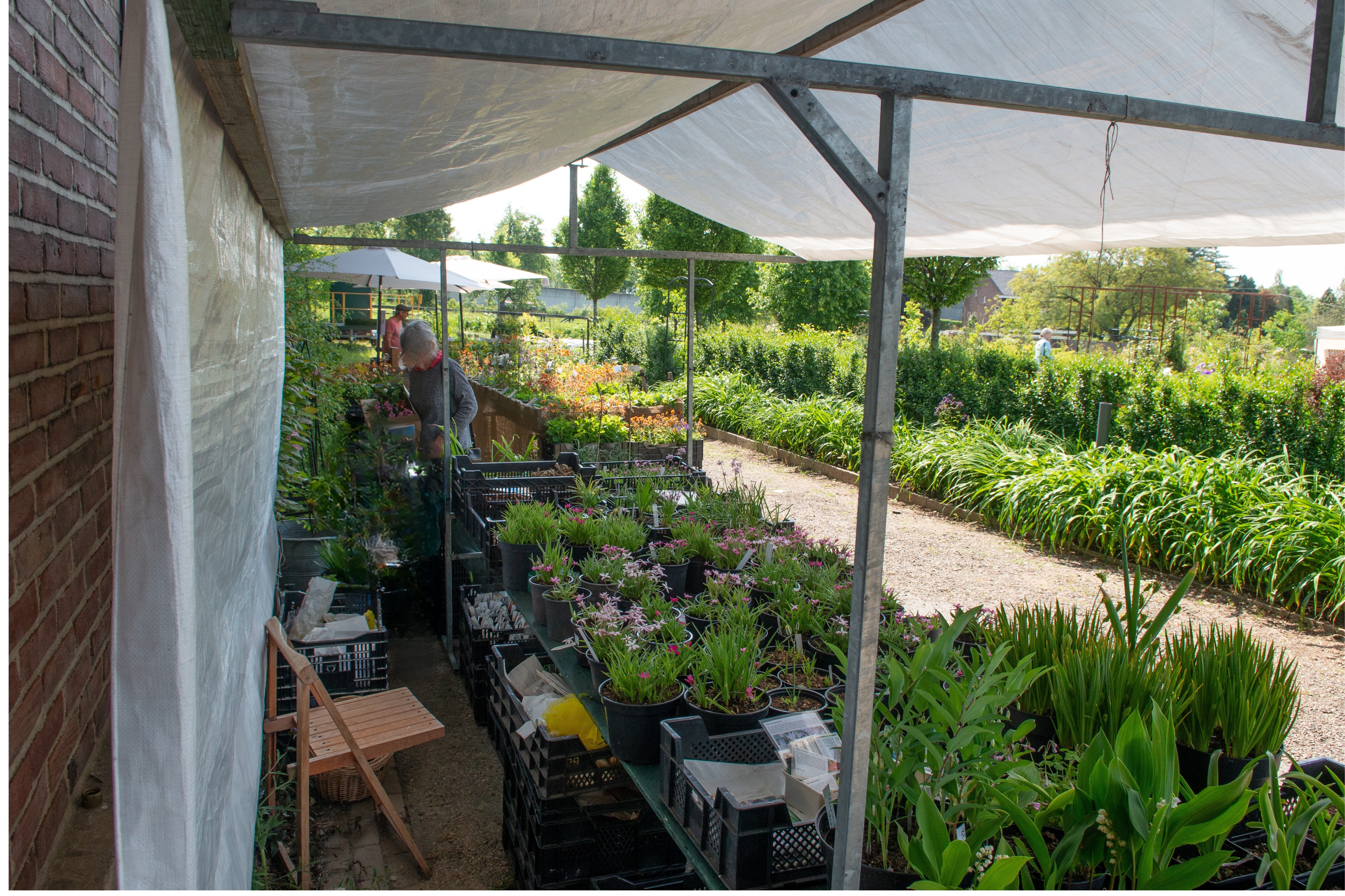 Plantenmarkt bij Marnis Kwekerij 