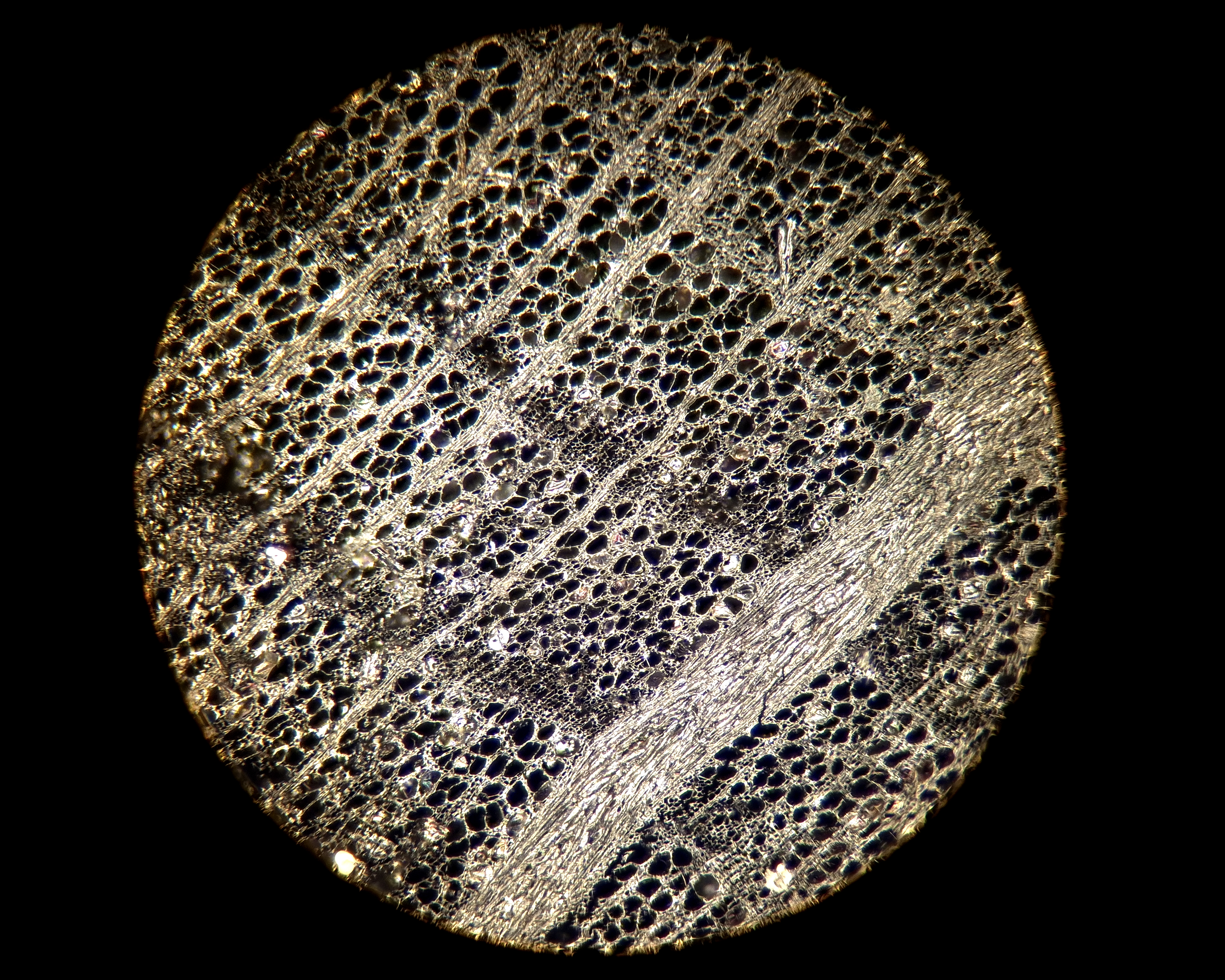 The Studio #10: Eline Kersten