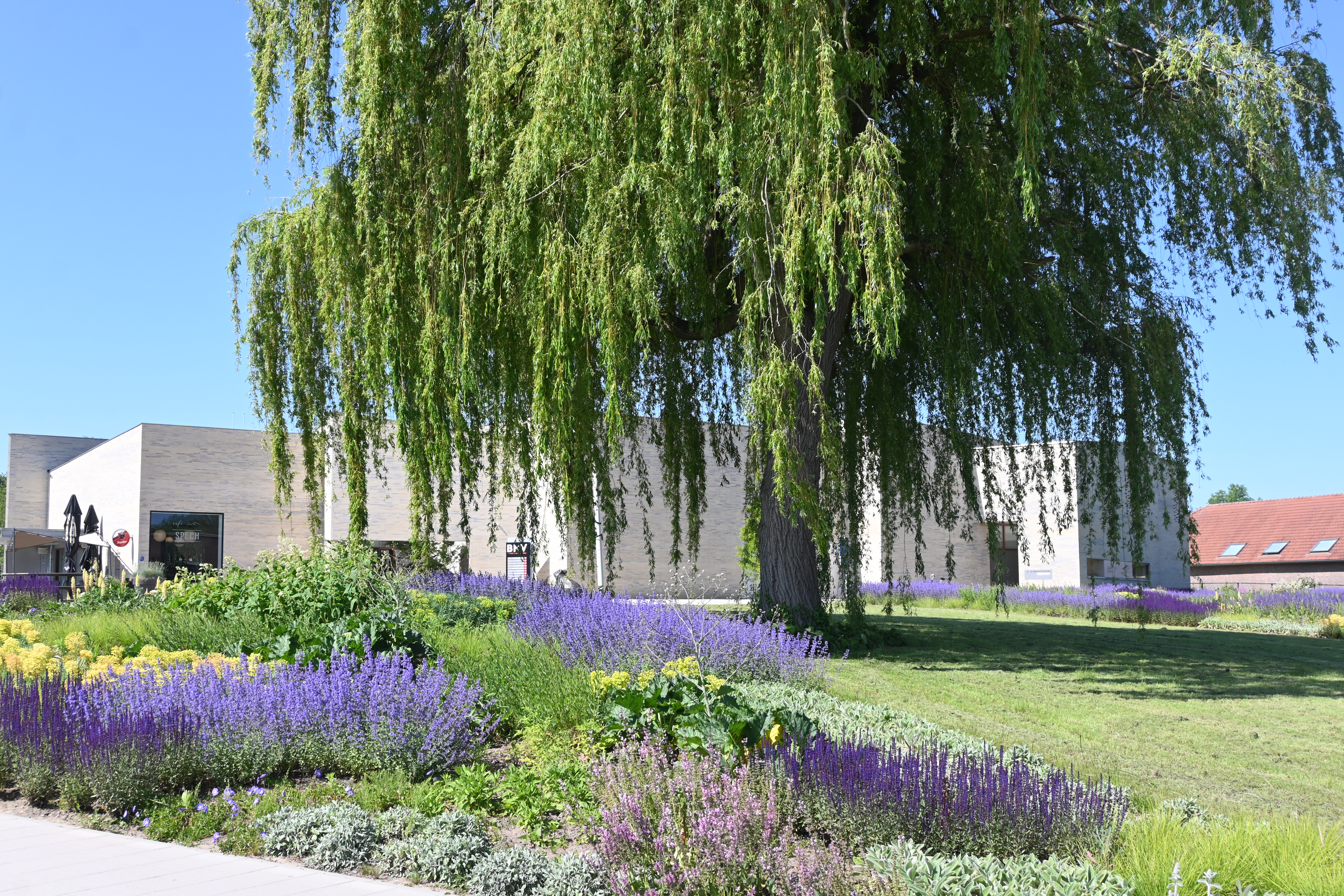 Lentewandeltocht – WC St. Caecilia Spaubeek