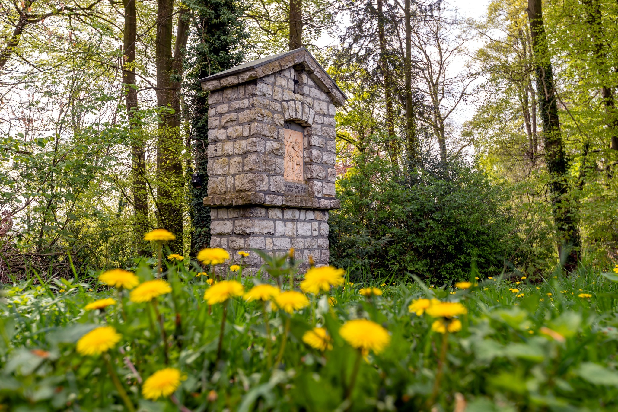 Wandelroute Simpelveld - Clara Fey-Pad