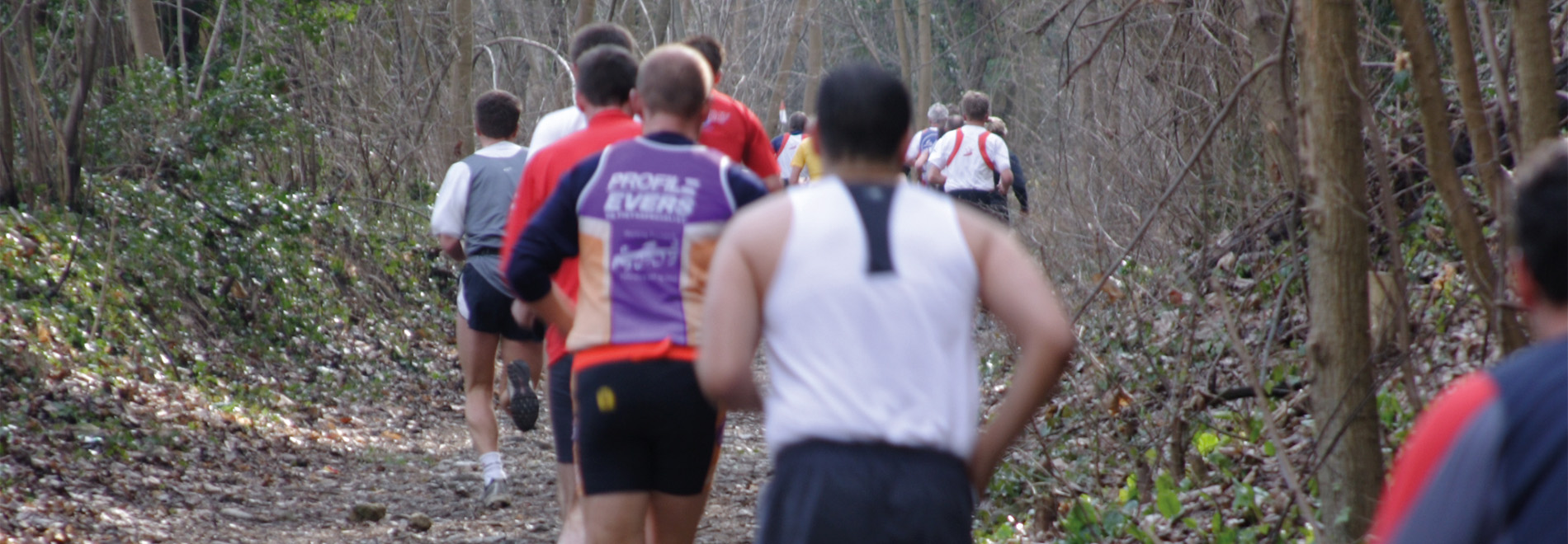 Treechloop Maastricht