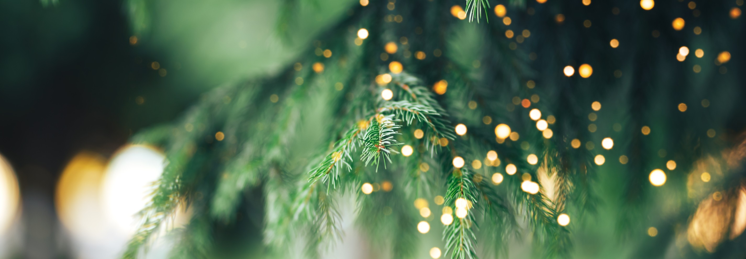Kerstdiner BloteVoetenHut