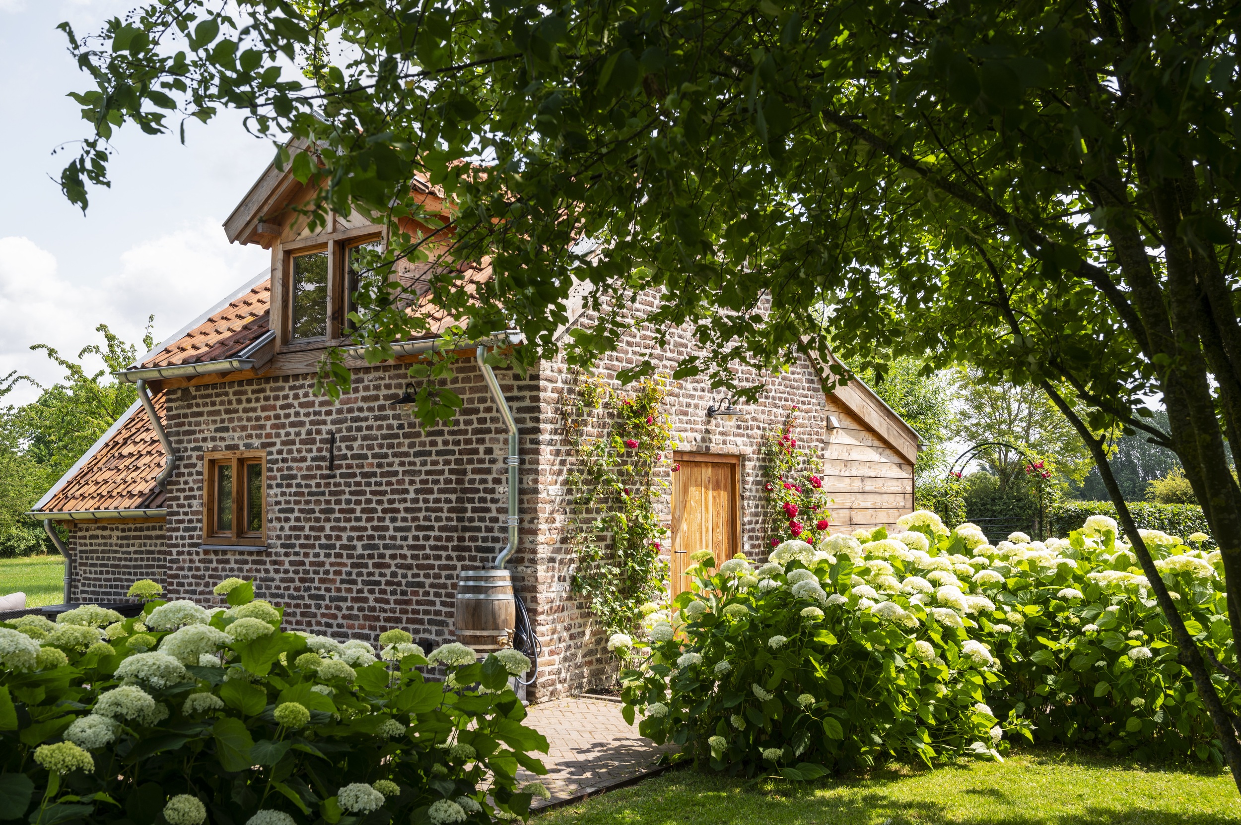 De Oude Bongard