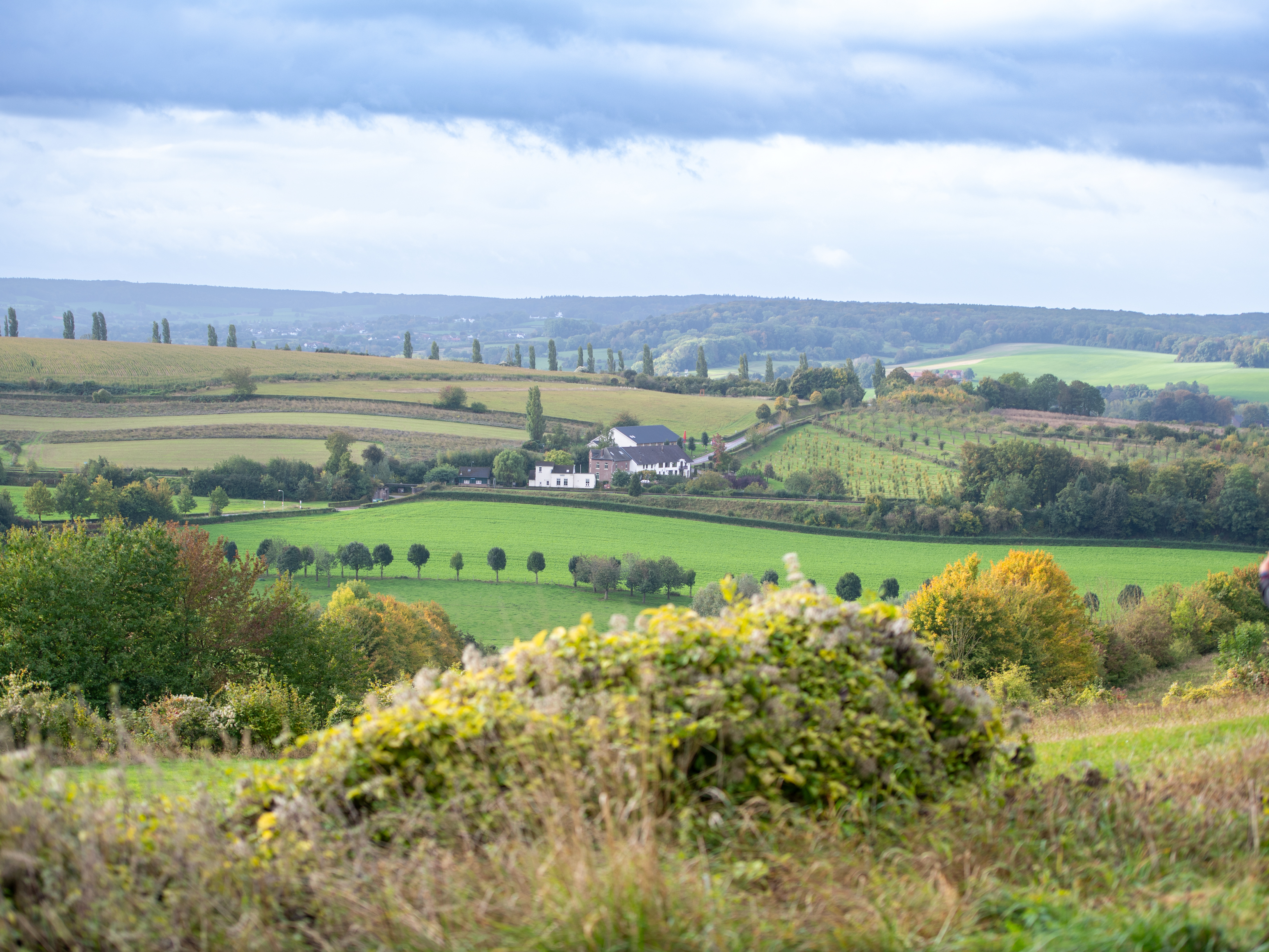 Limburg Wine Trail (Run)