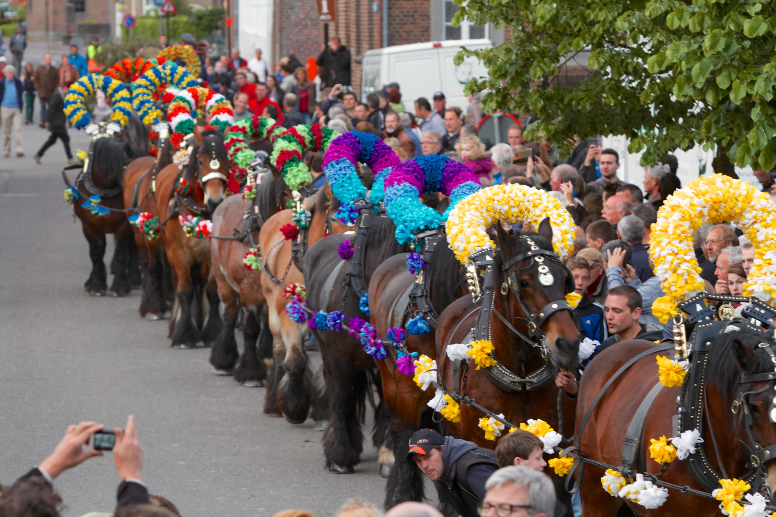 Sint Brigida Den Halen Noorbeek